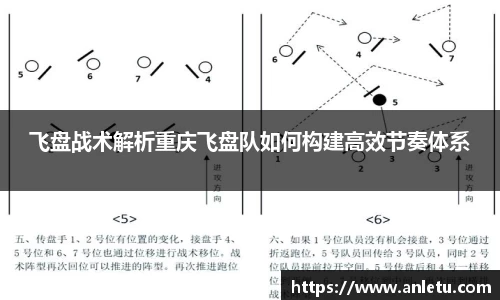 飞盘战术解析重庆飞盘队如何构建高效节奏体系